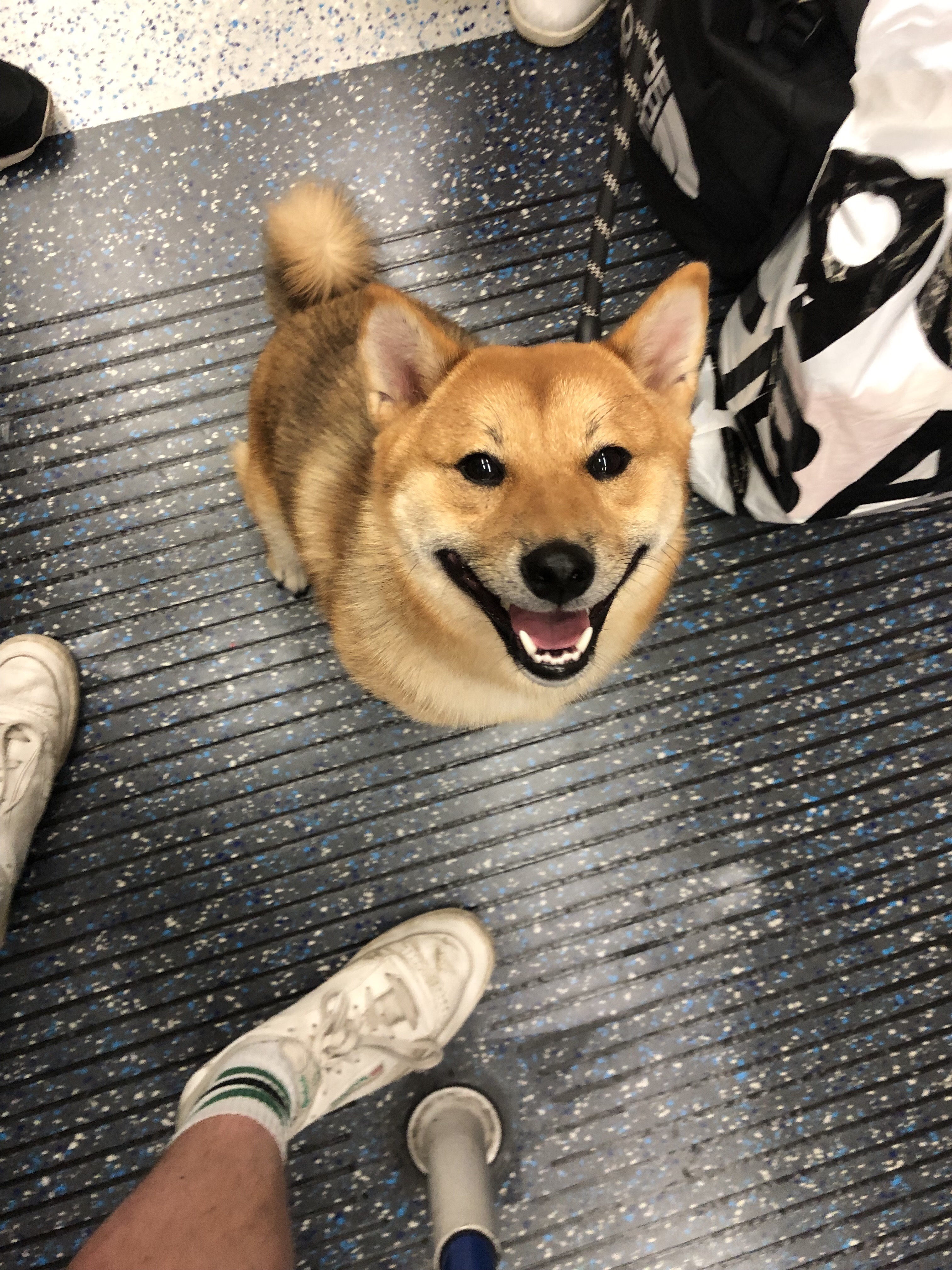 Ran into Wilf on the Victoria line 